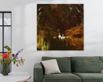 Animal Kingdom – Swans in the forest by Jan Keteleer
