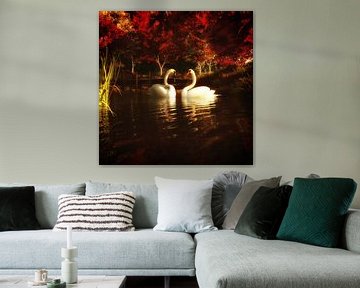 Animal Kingdom – Swans in a pond by Jan Keteleer