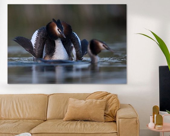 Aperçu de la chambre