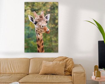 Portrait amusant d'une girafe sur Dennis van de Water