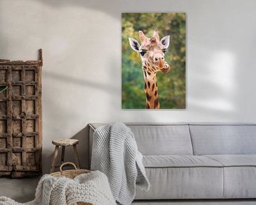 Grappig portret van een Giraffe sur Dennis van de Water