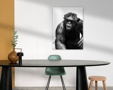 Chimpansee zwartwit portret von Dennis van de Water