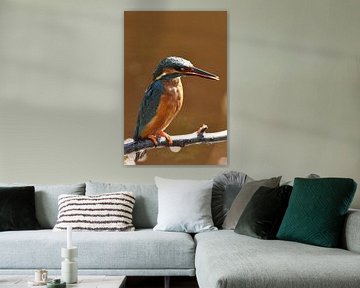 IJsvogel op tak oranje/bruine achtergrond met bokeh van Sascha van Dam