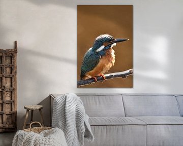 IJsvogel op tak met oranje achtergrond van Sascha van Dam