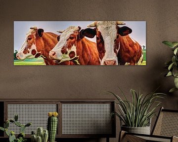 Rood Bonte Koeien in Weiland Panorama van Hendrik-Jan Kornelis