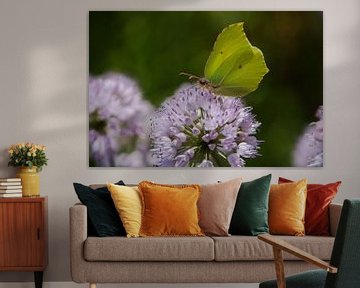 Butterfly on a purple flower von Lizet Wesselman