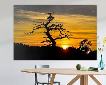 Silhouette d'un arbre contre le coucher de soleil sur Fred van Bergeijk