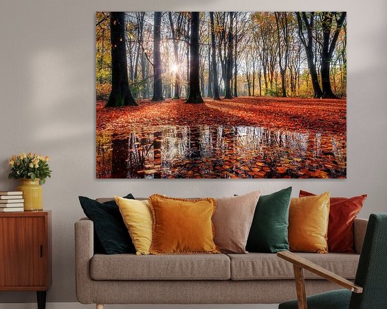 Aperçu de la chambre