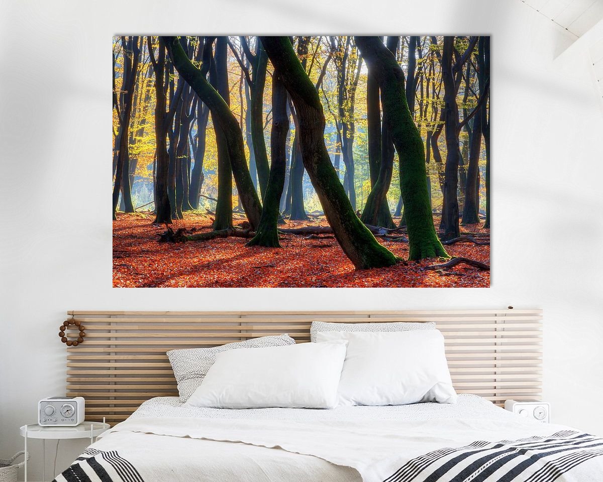 Aperçu de la chambre