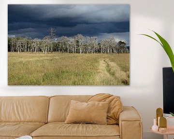 A threatening thunderstorm is coming up above the High Fens by wunderbare Erde