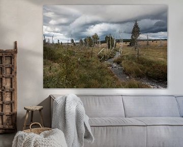 Tiefe Wolken über dem Hohen Venn, Belgien von wunderbare Erde