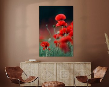 Wild Poppies ( Papaver rhoeas ) growing in a corn field. van wunderbare Erde