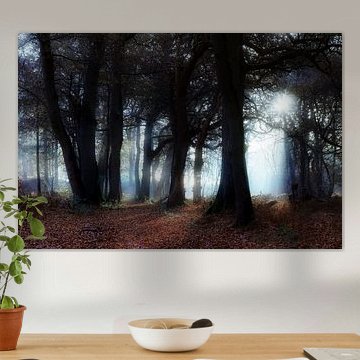 Blauw licht in het donkere bos sur Dennis van de Water