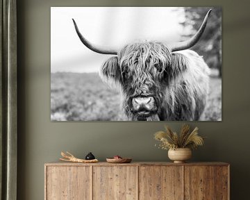 Portrait of a Scottish Highland cattle in a nature reserve by Sjoerd van der Wal Photography