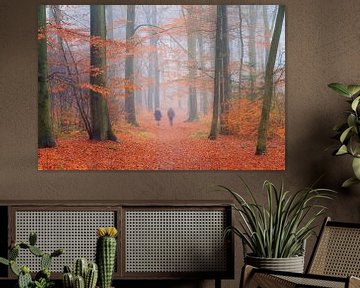 Herfstwandeling in het bos sur Dennis van de Water