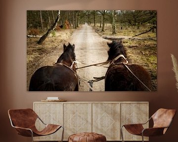 Belgische Trekpaarden voor de huifkar van Sran Vld Fotografie