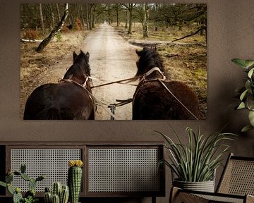 Belgische Trekpaarden voor de huifkar van Sara in t Veld Fotografie