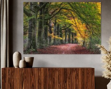 Autumn path by Peter Bijsterveld