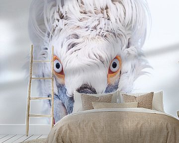 Strenger Blick von AGAMI Photo Agency