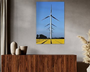 Hollandse windmolens in een tulpenveld