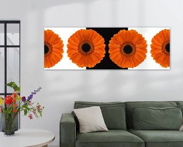 Creative with a Gerbera white black and white by Tanja van Beuningen