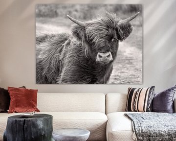 Portrait Scottish Highlander Black and White sur Charlene van Koesveld