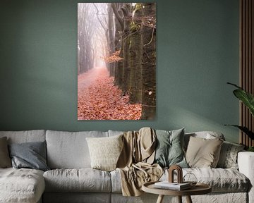 Sentier forestier par un matin d'hiver brumeux sur Mayra Fotografie