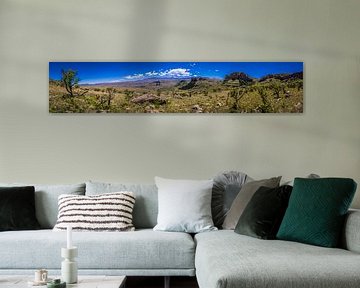 Panorama foto van het Drakensbergen gebergte in Lotheni Zuid-Afrika van Björn Jeurgens