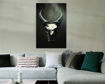 Buffel schedel