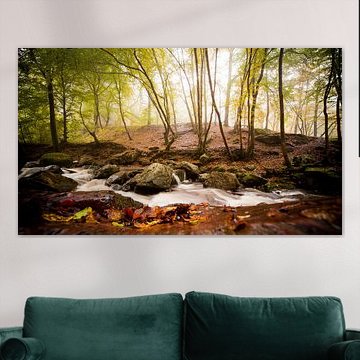 Forêt brumeuse sur Jacqueline Lemmens