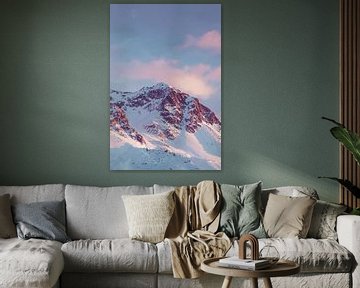 Roze bergen van Olivier Peeters