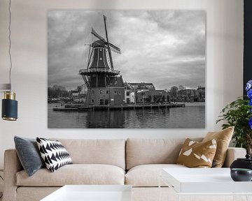 Molen in Haarlem van Martijn Tilroe