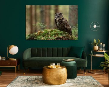 Eagle Owl ( Bubo bubo ) sitting on ground in the woods van wunderbare Erde