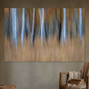 Autumn colors and birch trees