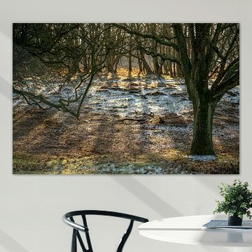 Amsterdams Waterleidingduinen