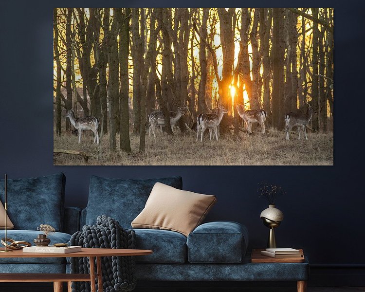 Aperçu de la chambre