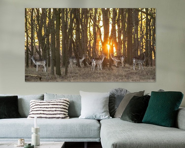 Aperçu de la chambre