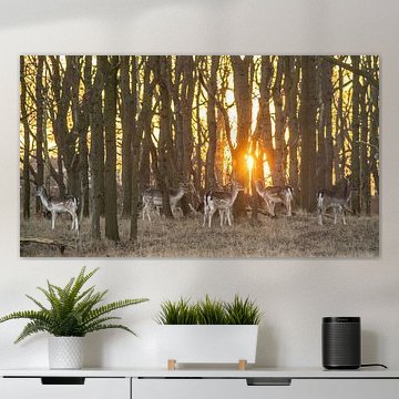 Hirsche im AWD von Dirk van Egmond