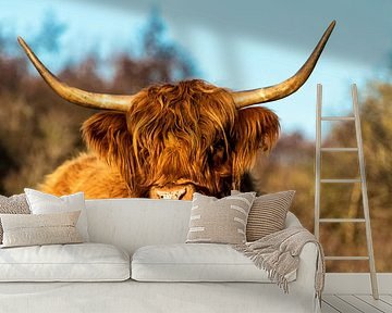 Scottish highlander in the dunes by Ilya Korzelius