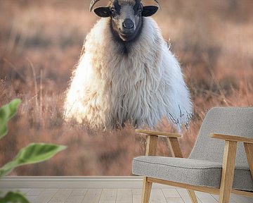 Schaap op de uitkijk van Karin van Rooijen Fotografie