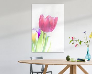 High Key Tulp van MATTIAS FURNIERE