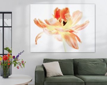 Tulp High Key van Jessica Berendsen