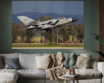 Italiaanse Luchtmacht Tornado IDS van Dirk Jan de Ridder - Ridder Aero Media