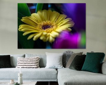 Gele gerbera von Piertje Kruithof