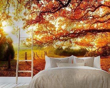 Autumn landscape by Günter Albers