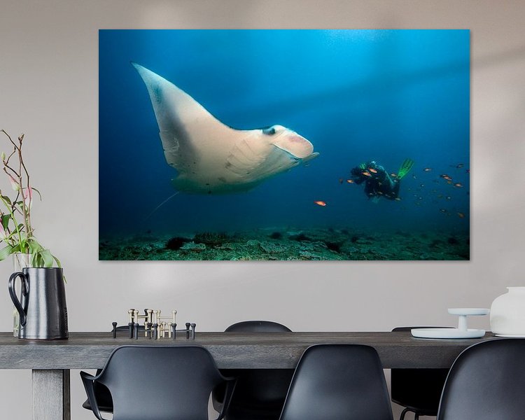 Aperçu de la chambre