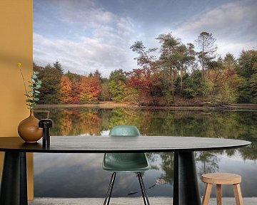 Landschap - Weerspiegeling