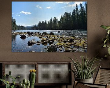 Kanadischer Fluss, wilde Flusslandschaft im Wells Gray Nationalpark von Jutta Klassen