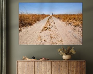 The endless sandy road by Jolene van den Berg