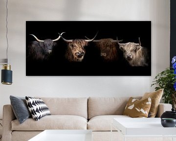 Scottish Highlanders by Gert Hilbink